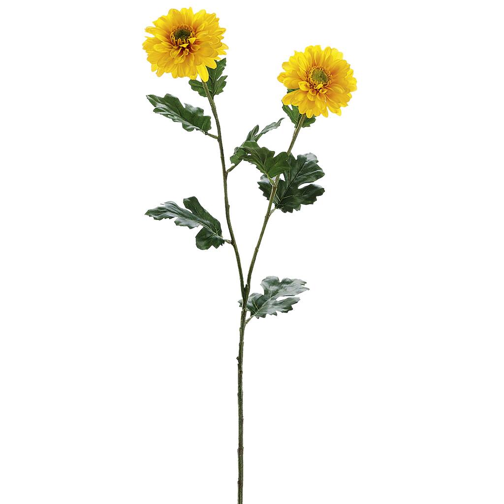 10392969.jpg img